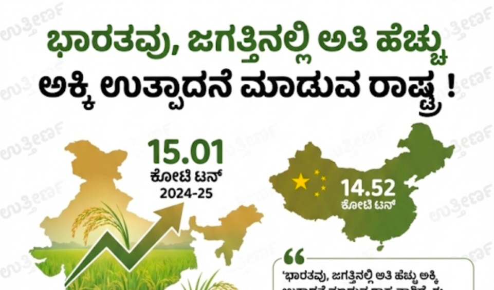 ಭಾರತವು, ಜಗತ್ತಿನಲ್ಲಿ ಅತಿ ಹೆಚ್ಚು ಅಕ್ಕಿ(Rice) ಉತ್ಪಾದನೆ ಮಾಡುವ ರಾಷ್ಟ್ರ !