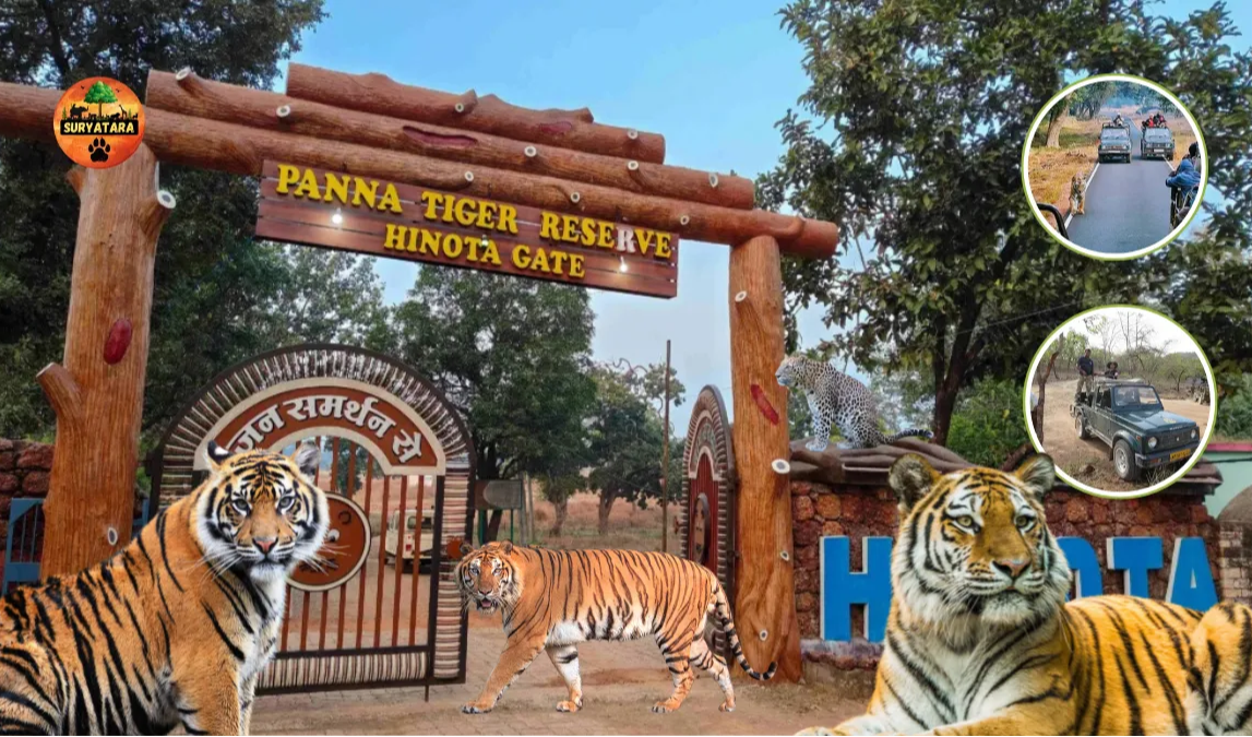 Panna Tiger Reserve