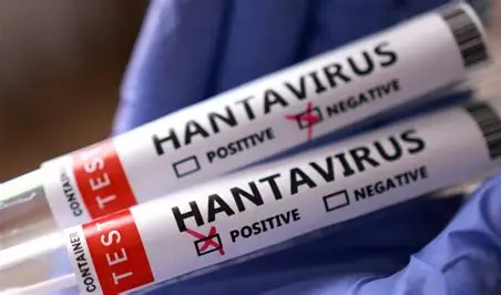 ಹಂತಾವೈರಸ್ (Hantavirus)